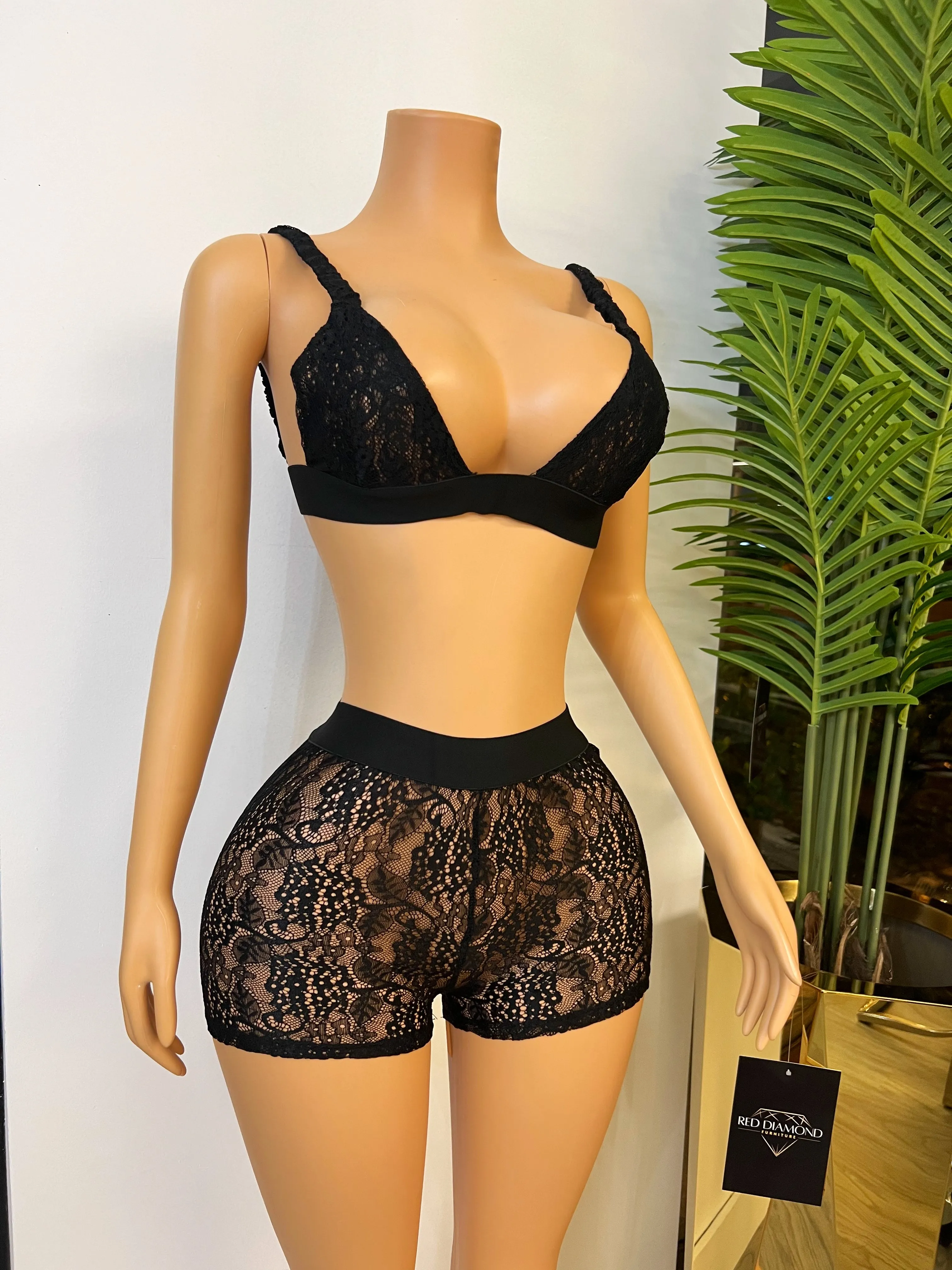 NUDITY LACE SET