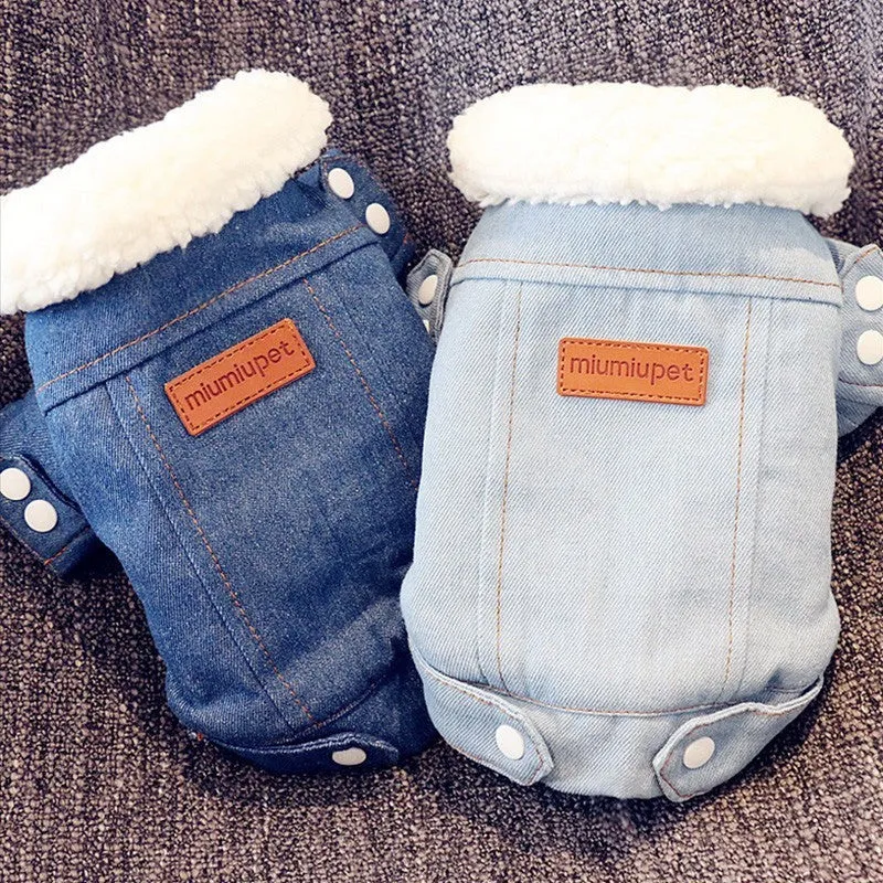 Winter Jeans Coat for French Bulldog (WS35)